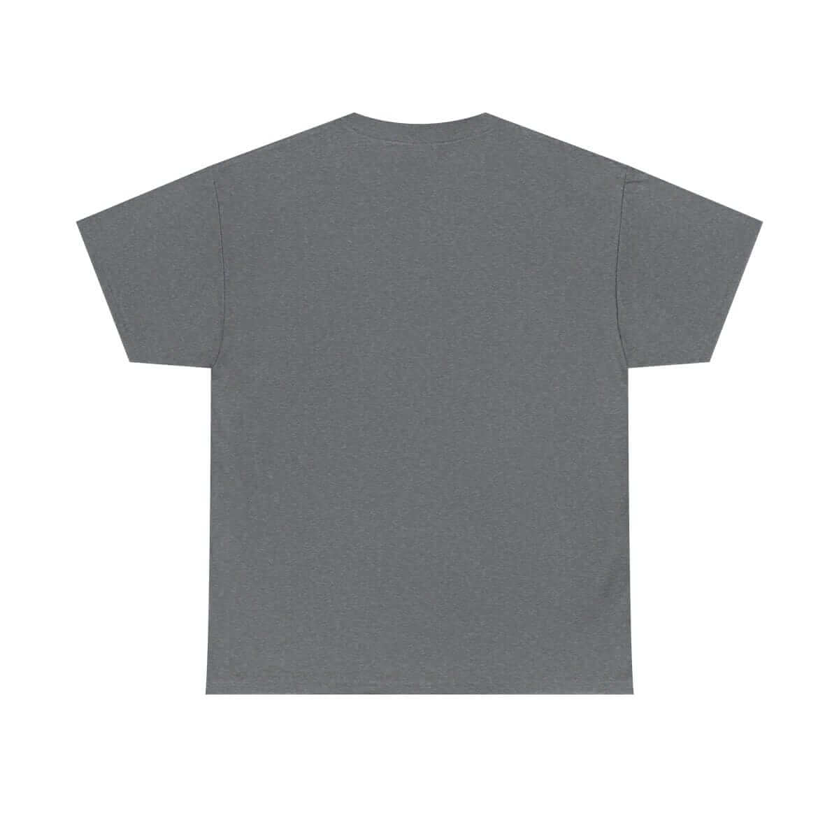 Gray short-sleeve T-shirt made of lightweight cotton fabric shown from the back with a classic crew neckline