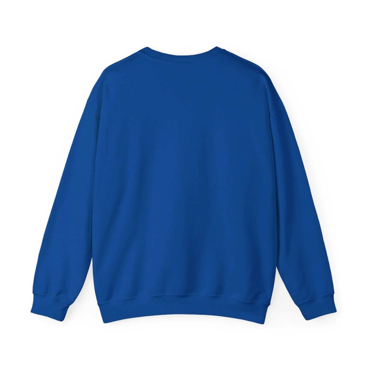 Blue cotton casual sweatshirt with crew neck, ribbed cuffs and hem, and a clean, minimal front design