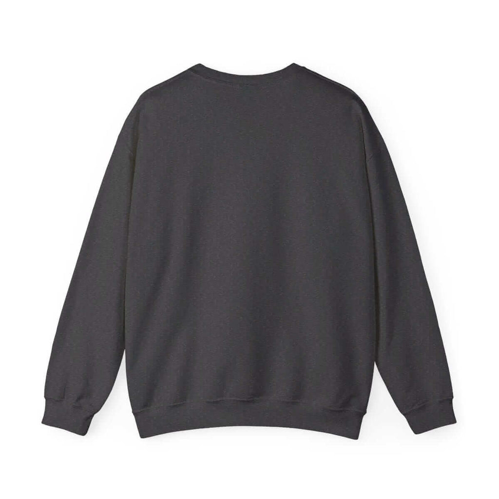 Dark gray knit sweater in a casual style, worn by a person facing away, featuring ribbed hem and relaxed fit