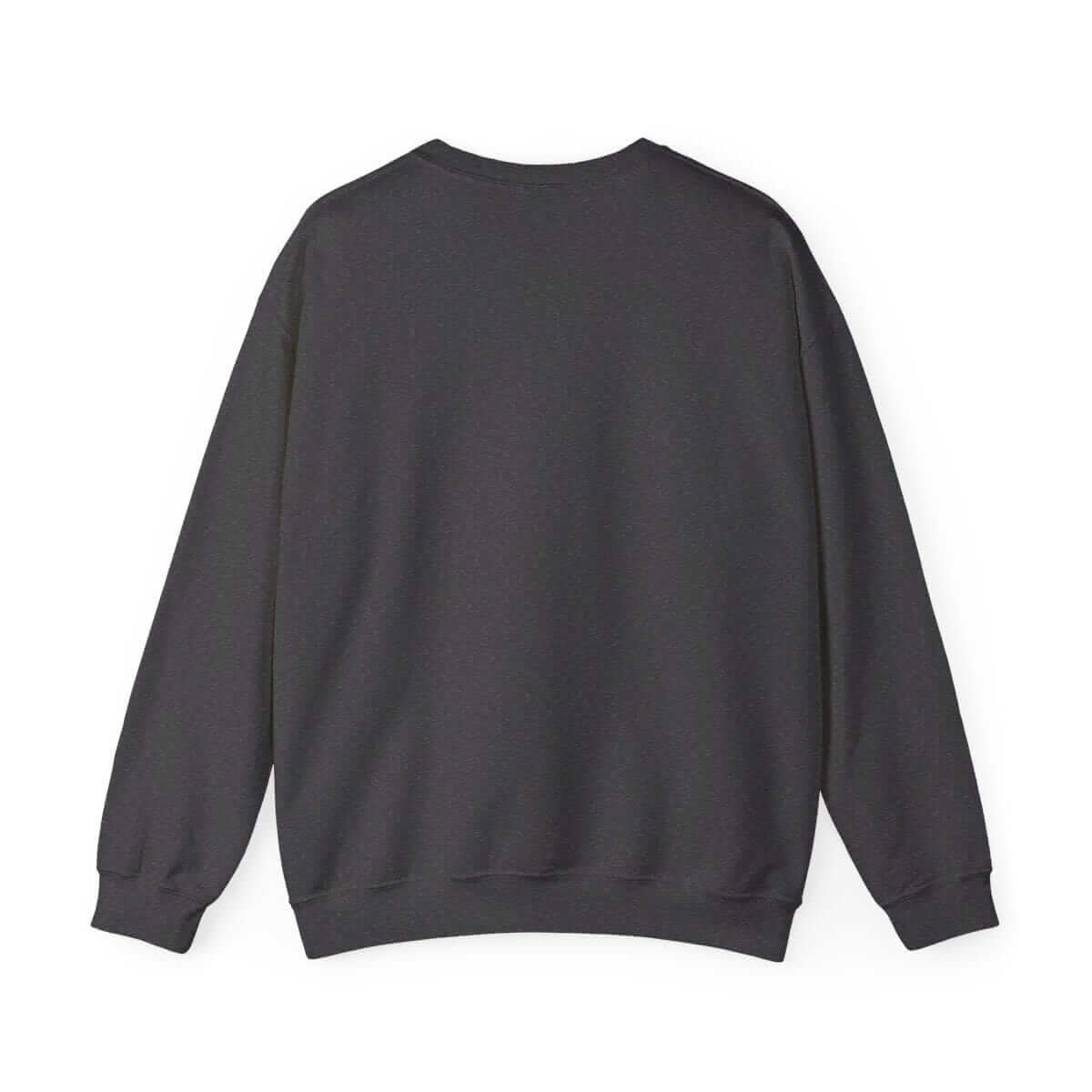 Dark gray knit sweater in a casual style, worn by a person facing away, featuring ribbed hem and relaxed fit